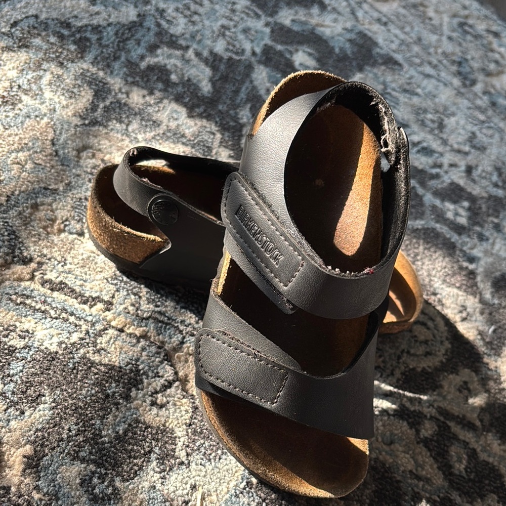 Birkenstock Dark Leather Sandals